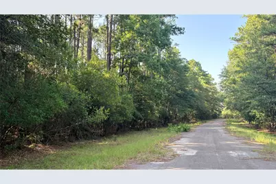 Lot 19 Silver Birch, Village Mills, TX 77663 - Photo 2