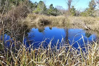 10173 Deer Ridge Road, Bedias, TX 77831 - Photo 16
