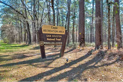 Lot 13 Homestead Hill Road, New Waverly, TX 77358 - Photo 10