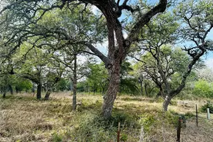 1390 Co Rd 106, Columbus, TX 78934 - Photo 1