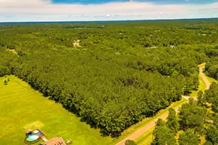 256 Southcreek Park, Livingston, TX 77351 - Photo 44