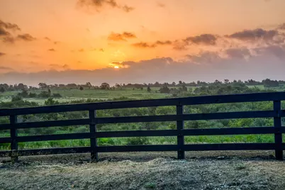 14804 Childress Ranch Dr, Washington, TX 77880 - Photo 6