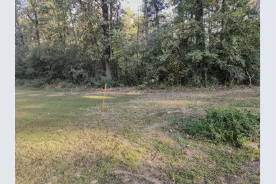 0 Hackberry Drive, Onalaska, TX 77360 - Photo 2