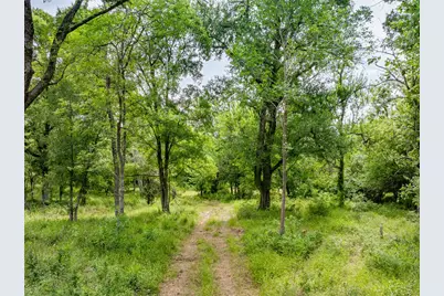 Tbd Schwartz Road, Washington, TX 77880 - Photo 8