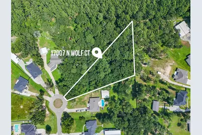 17007 N Wolf Court, Splendora, TX 77372 - Photo 1