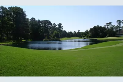 6 W Prairie Dawn Circle, The Woodlands, TX 77385 - Photo 22