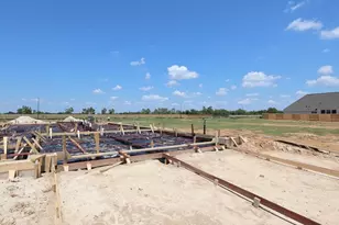 27310 Scarlet Paint Brush Dr, Waller, TX 77447 - Photo 6