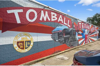 214 Texas Street, Tomball, TX 77375 - Photo 32