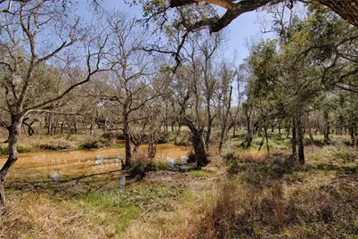 Tbd Wigeon Lane, Columbus, TX 78934 - Photo 4