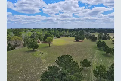 11986 Cr 112, Centerville, TX 75833 - Photo 10