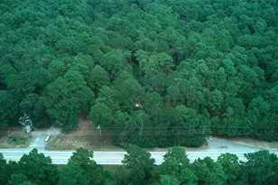 36014 Fm 149 Rd, Pinehurst, TX 77362 - Photo 4