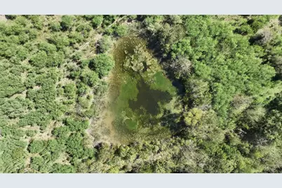 14100 Fm 1155 E, Washington, TX 77880 - Photo 16