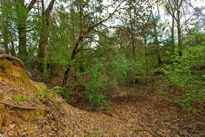 3882 Webb Cemetary Road, Calvert, TX 77837 - Photo 6