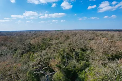 Tbd Fm 391, Hearne, TX 77859 - Photo 14
