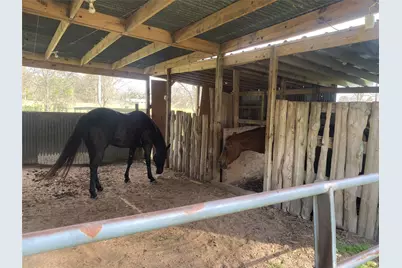 18133 Fm 1774, Plantersville, TX 77363 - Photo 20