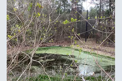 18133 Fm 1774, Plantersville, TX 77363 - Photo 26