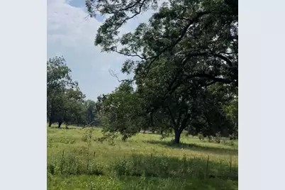 (20 Ac) Tbd Fm 2548, Midway, TX 75852 - Photo 2