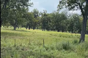 (20 Ac) Tbd Fm 2548, Midway, TX 75852 - Photo 1