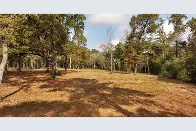 5.3 Ac Tbd Spring Branch Rd, Montgomery, TX 77316 - Photo 10