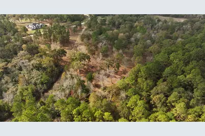 5.3 Ac Tbd Spring Branch Rd, Montgomery, TX 77316 - Photo 20