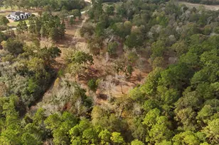 5 3 Ac Tbd Spring Branch Rd, Montgomery, TX 77316 - Photo 20