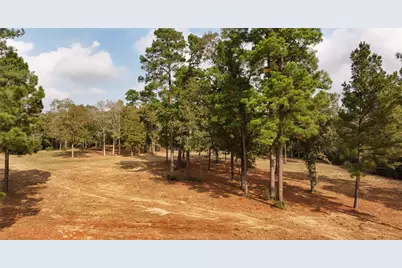 5.3 Ac Tbd Spring Branch Rd, Montgomery, TX 77316 - Photo 8