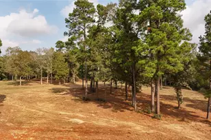 5 3 Ac Tbd Spring Branch Rd, Montgomery, TX 77316 - Photo 8