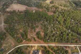 5 3 Ac Tbd Spring Branch Rd, Montgomery, TX 77316 - Photo 18