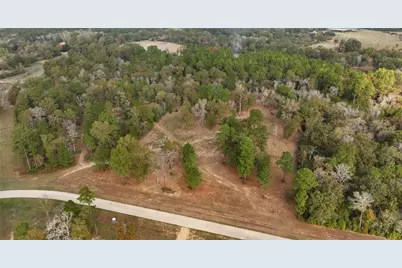 5.3 Ac Tbd Spring Branch Rd, Montgomery, TX 77316 - Photo 14