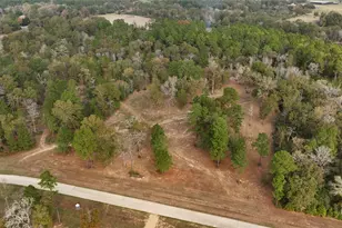 5 3 Ac Tbd Spring Branch Rd, Montgomery, TX 77316 - Photo 14