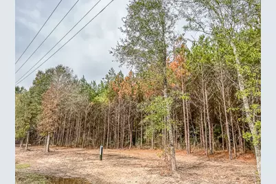 000000 Cr 2305 S, Moss Hill, TX 77327 - Photo 4