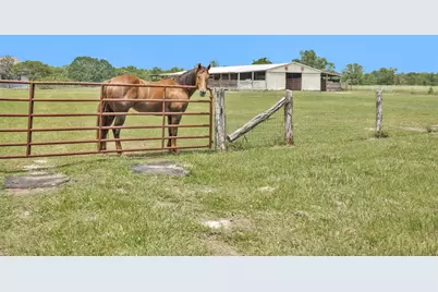 28136 Old Highway 105 W, Montgomery, TX 77316 - Photo 36