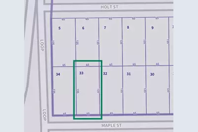 4626 Maple Street, Bellaire, TX 77401 - Photo 8