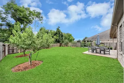 8906 Stanley Oak Drive, Missouri City, TX 77459 - Photo 4