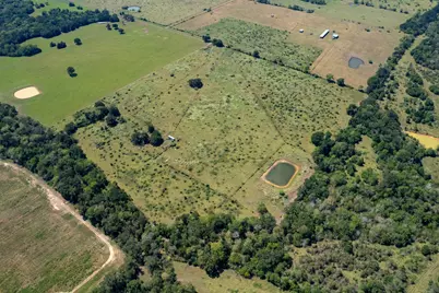 Tbd Pr 4550, Normangee, TX 77871 - Photo 14