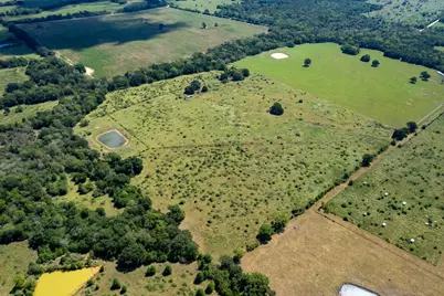 Tbd Pr 4550, Normangee, TX 77871 - Photo 4