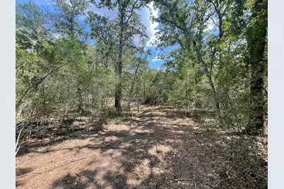 12495 Burgess Road, Iola, TX 77861 - Photo 8