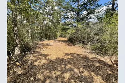 12495 Burgess Road, Iola, TX 77861 - Photo 26