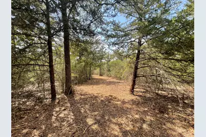 12495 Burgess Road, Iola, TX 77861 - Photo 30