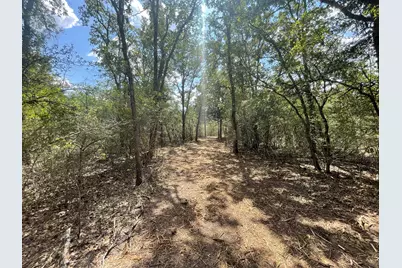 12495 Burgess Road, Iola, TX 77861 - Photo 20