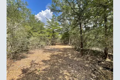 12495 Burgess Road, Iola, TX 77861 - Photo 28
