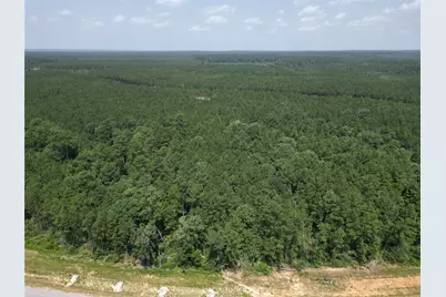15884 Ridge Oak Road, Willis, TX 77378 - Photo 12