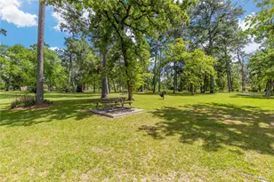 1004 Martin St, Houston, TX 77018 - Photo 14