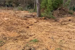 524 White Oak Dr, Houston, TX 77336 - Photo 1