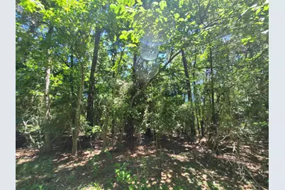 00 Chestnut Drive, Montgomery, TX 77356 - Photo 2