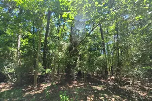 00 Chestnut Dr, Montgomery, TX 77356 - Photo 2