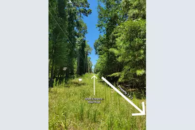 00 Chestnut Drive, Montgomery, TX 77356 - Photo 4