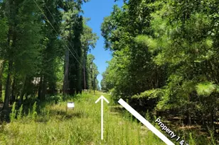 00 Chestnut Dr, Montgomery, TX 77356 - Photo 4