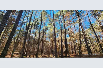 Tbd County Road 405, San Augustine, TX 75972 - Photo 42