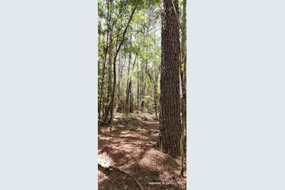 Tbd County Road 405, San Augustine, TX 75972 - Photo 18